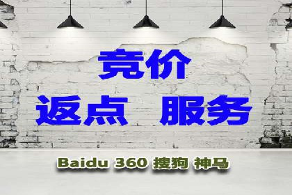 SEM推广优化策略：成功案例解析